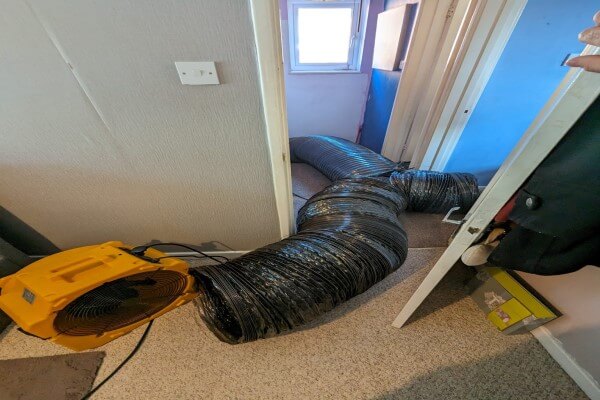 PEST CONTROL HEMEL, Hertfordshire. Services: Bed Bug Heat Treatments. Efficient Bed Bug Heat Treatments in Hemel for Lasting Relief