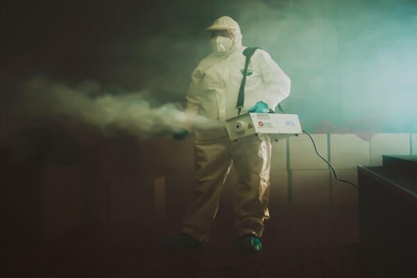 PEST CONTROL HEMEL, Hertfordshire. Pests Our Team Eliminate - Cleaning.